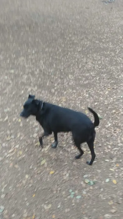 Alamo Heights Bark Park 1