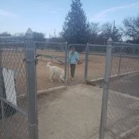 Fort Sam Dog Park ico