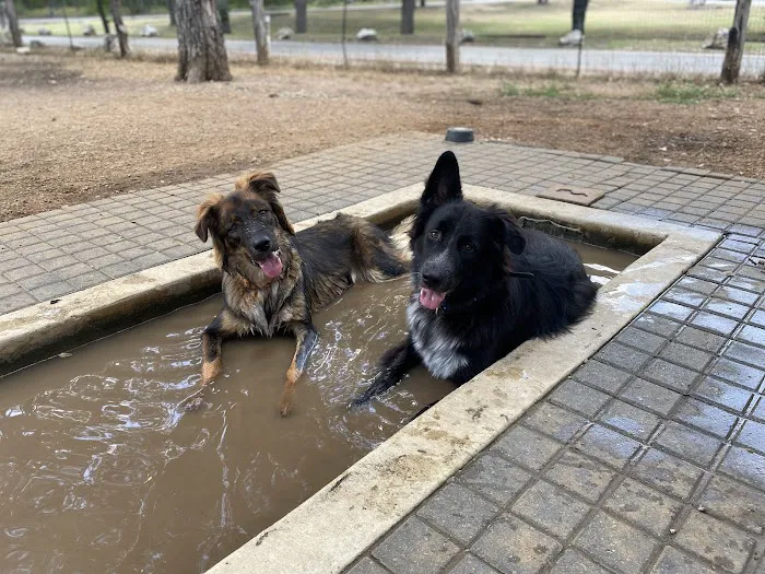 Olmos Park Dog Park 2