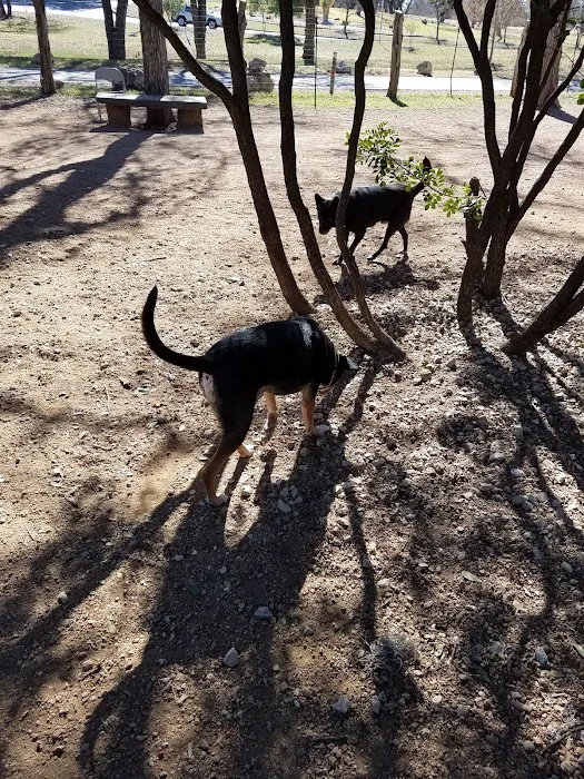 Olmos Park Dog Park 6