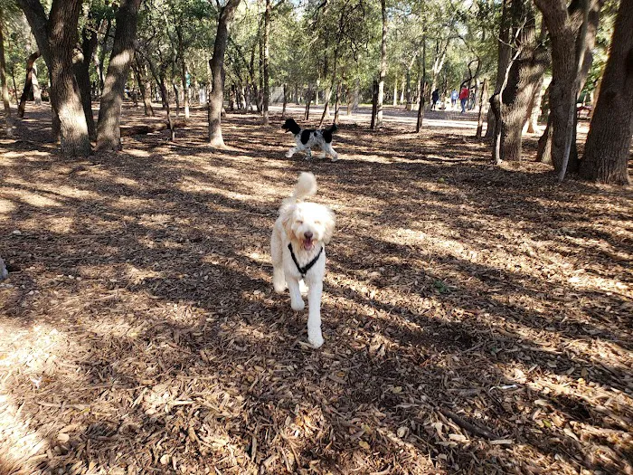 Blanco Road Dog Park in Phil Hardberger Park 5