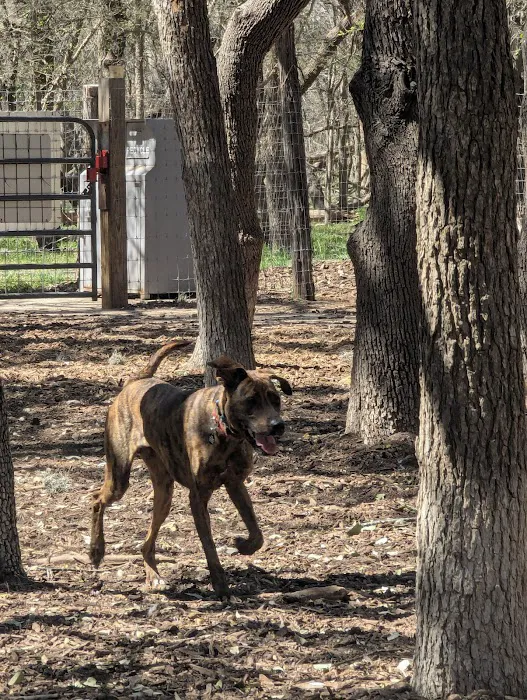 Blanco Road Dog Park in Phil Hardberger Park 9