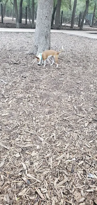 Blanco Road Dog Park in Phil Hardberger Park 1