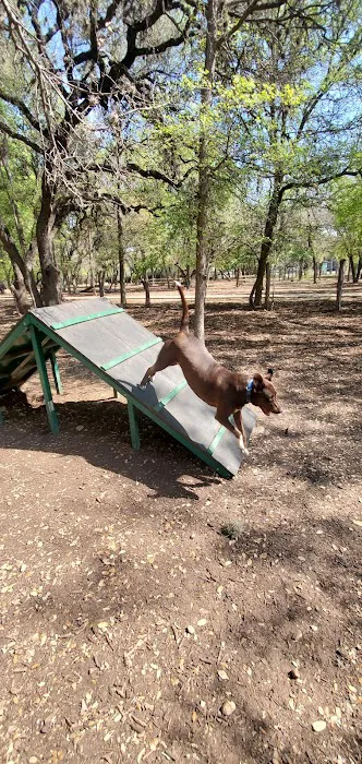 Blanco Road Dog Park in Phil Hardberger Park 4