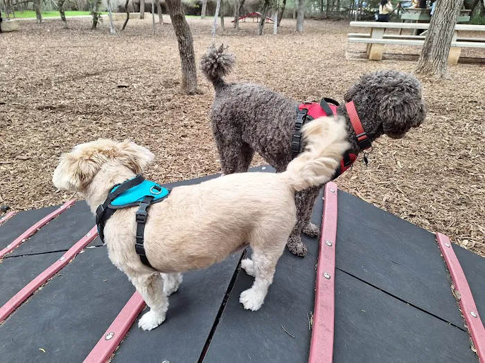 Blanco Road Dog Park in Phil Hardberger Park 8
