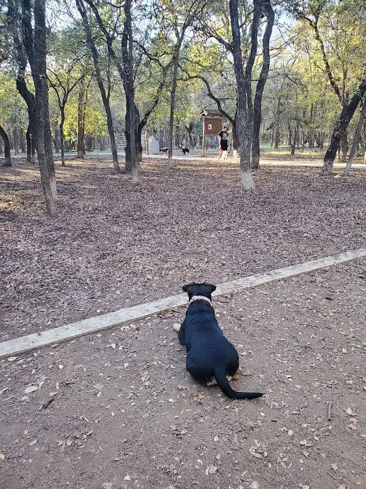 Blanco Road Dog Park in Phil Hardberger Park 3