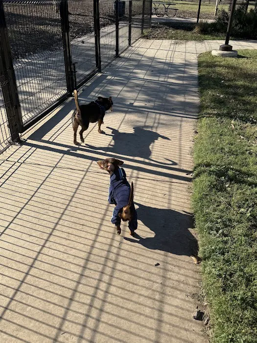 Maverick Dog Park 9