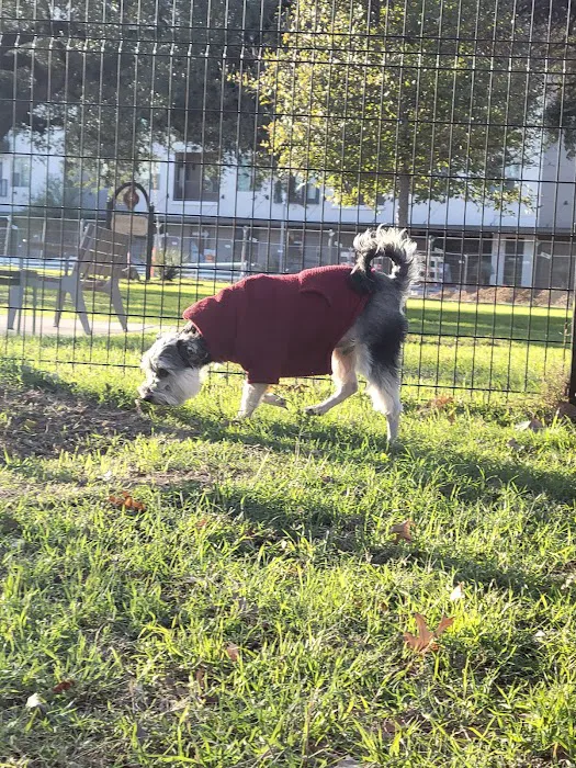 Maverick Dog Park 3
