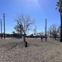 Maverick Dog Park ico