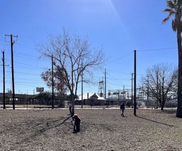 Maverick Dog Park