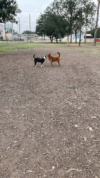 Maverick Dog Park 6