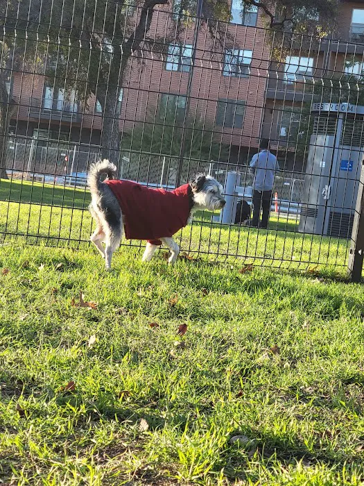 Maverick Dog Park 5