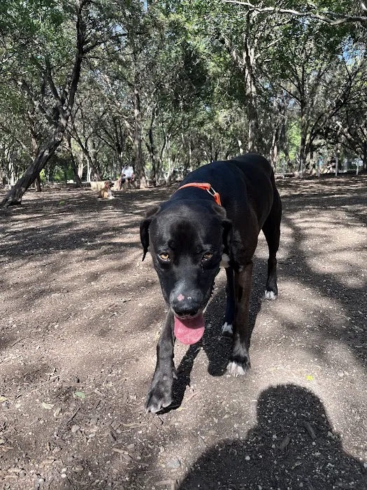 Hardberger Park - Dog Park (West) 4