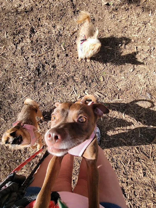 Hardberger Park - Dog Park (West) 2