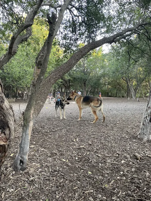 Hardberger Park - Dog Park (West) 8