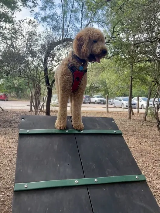 Hardberger Park - Dog Park (West) 1