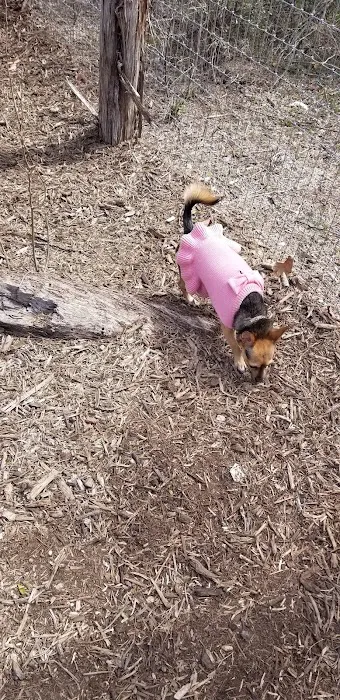 Southside Lions Dog Park 5