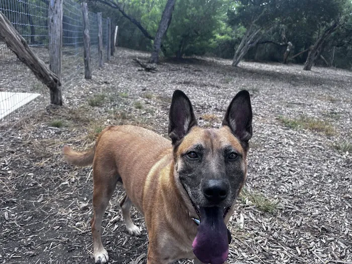 Southside Lions Dog Park 10