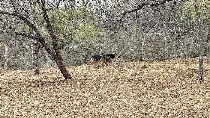 Southside Lions Dog Park 1