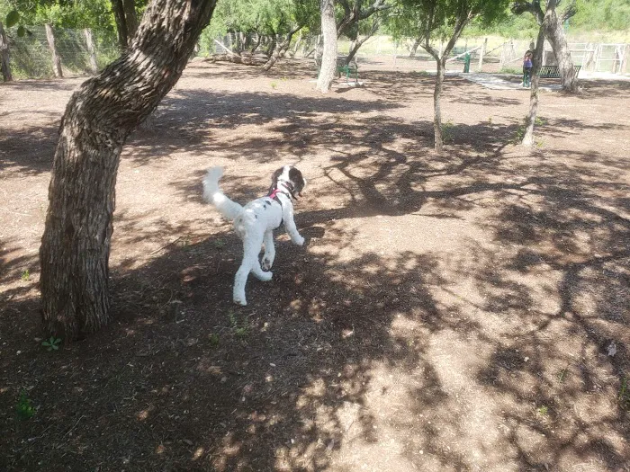 Southside Lions Dog Park 3