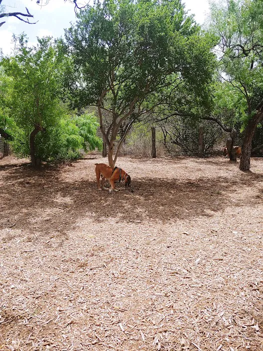 Southside Lions Dog Park 4