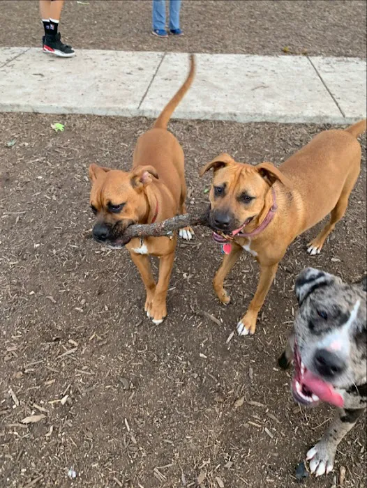 Southside Lions Dog Park 9