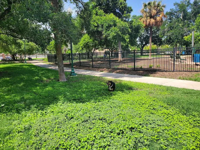 Madison Square Dog Park 9