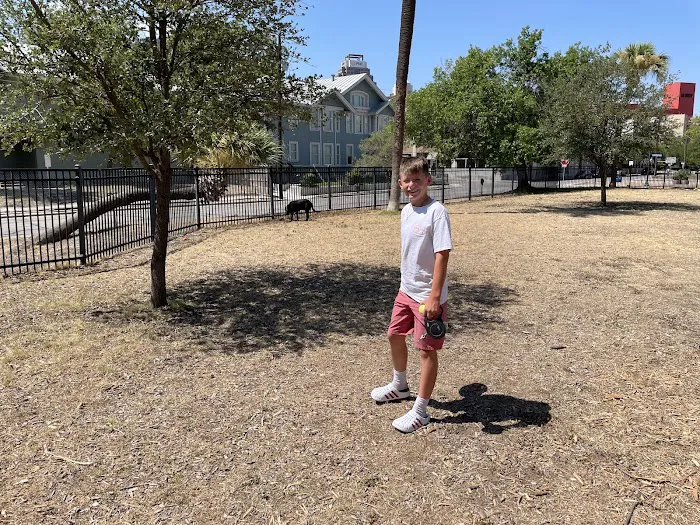 Madison Square Dog Park 4