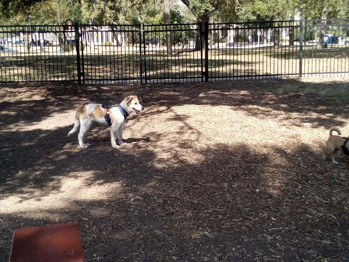 Madison Square Dog Park 2