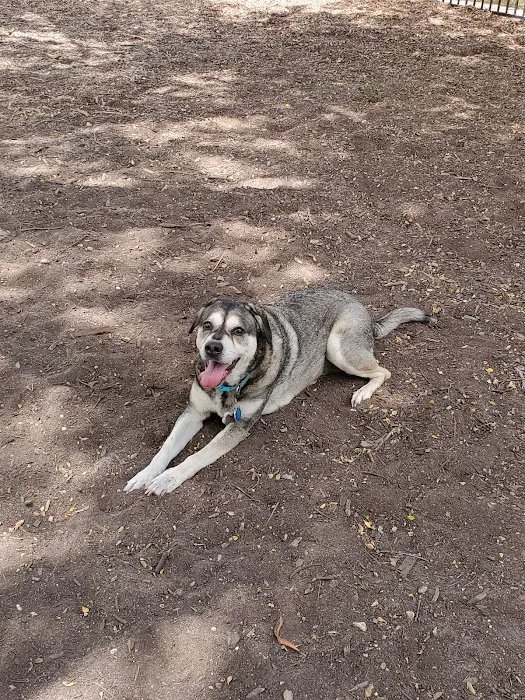 Madison Square Dog Park 1