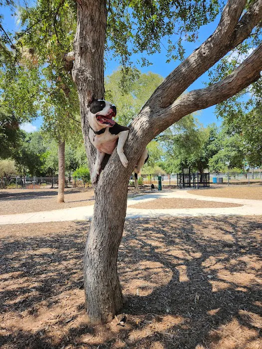 Madison Square Dog Park 8