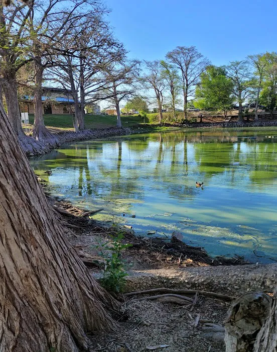 Woodlawn Lake Dog Park 3