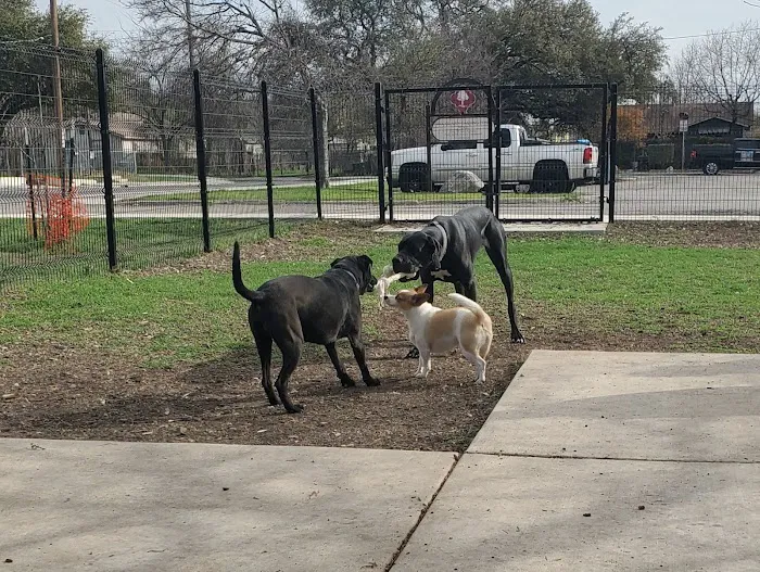 Woodlawn Lake Dog Park 8