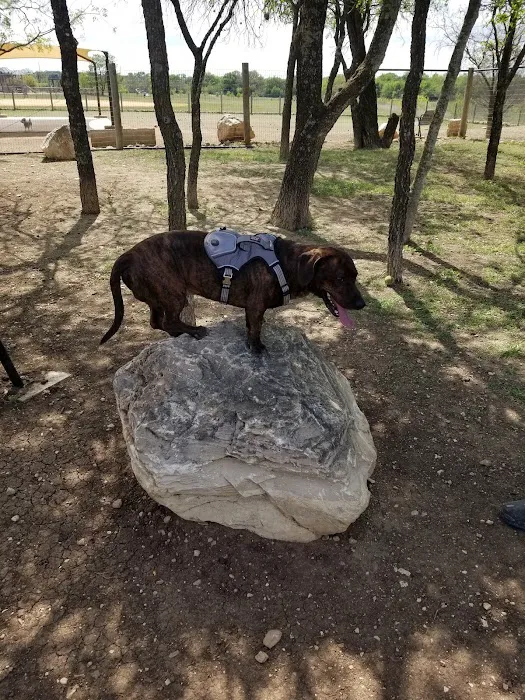 Woodlawn Lake Dog Park 10