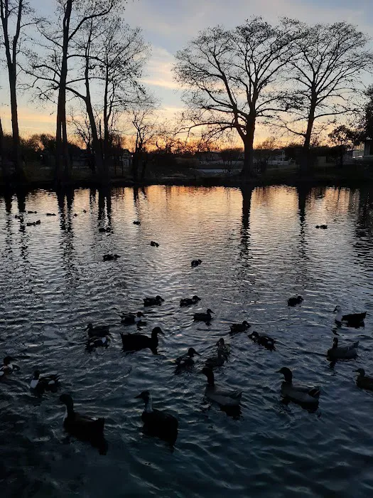 Woodlawn Lake Dog Park 9