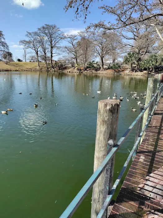 Woodlawn Lake Dog Park 4