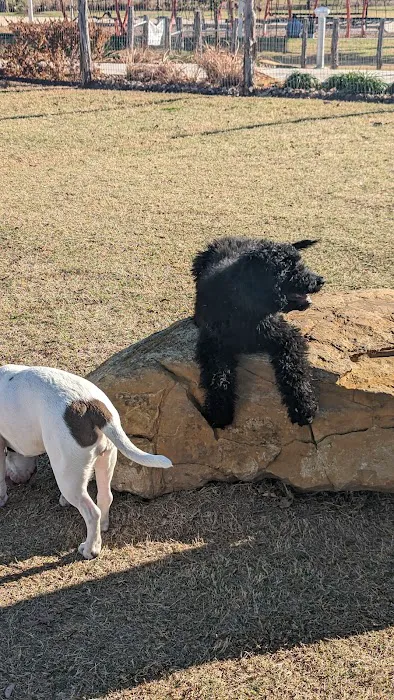 Paw Park at The Greenline 2