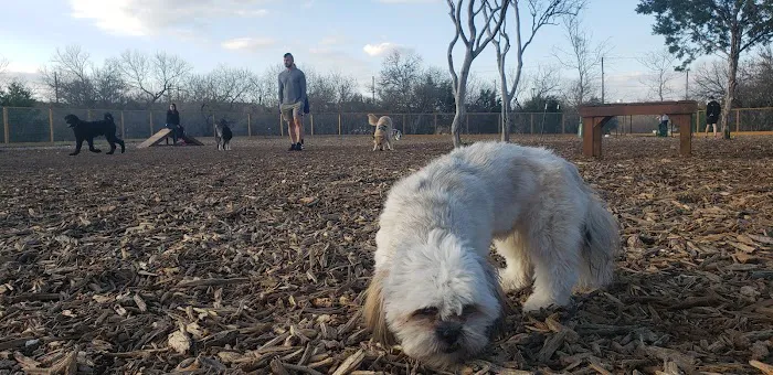 Fox Dog Park 4