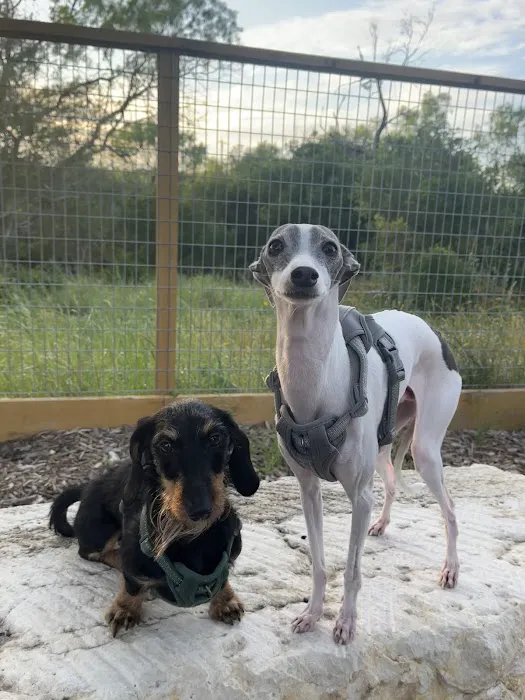 Fox Dog Park 1
