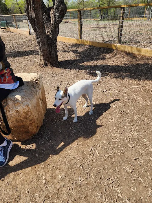 Fox Dog Park 7