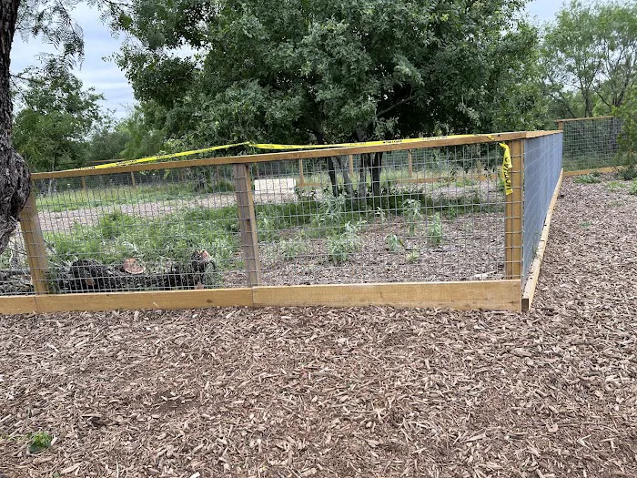 Fox Dog Park 9