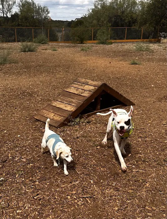 Fox Dog Park 6