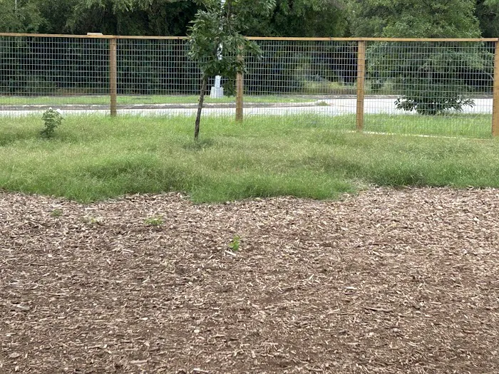 Fox Dog Park 8