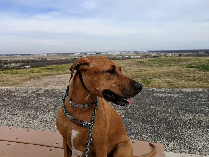 Pearsall Dog Park 4