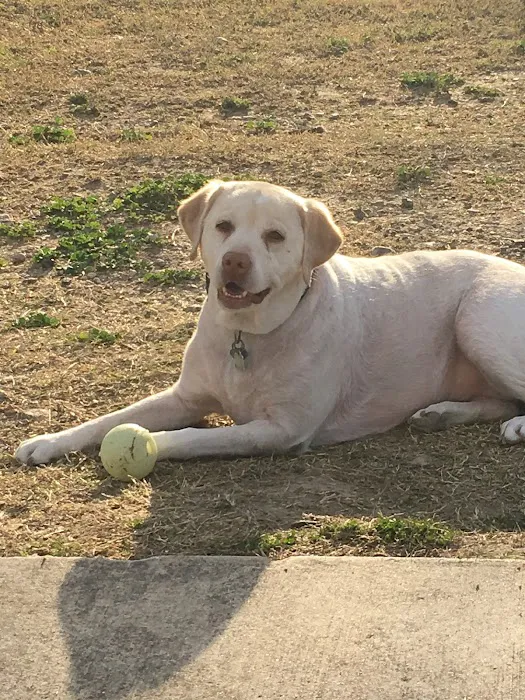 Pearsall Dog Park 5