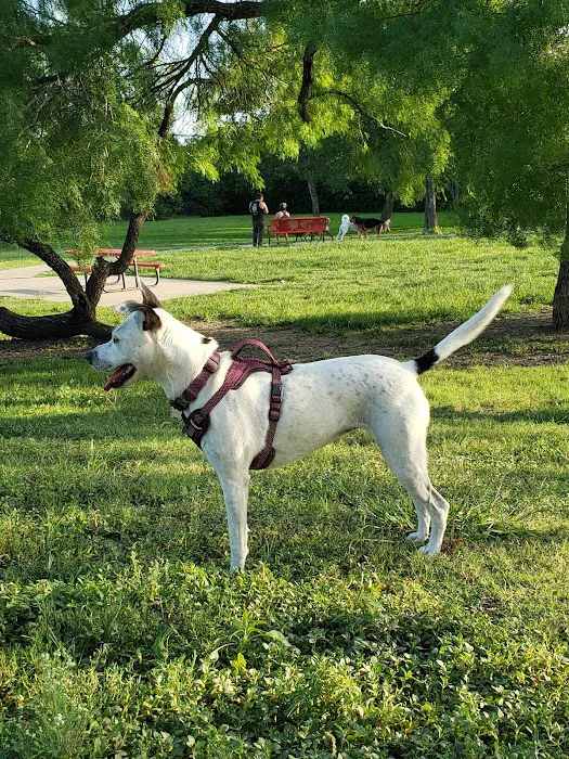 Pearsall Dog Park 2