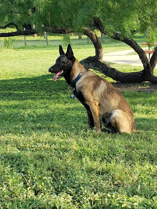 Pearsall Dog Park 3