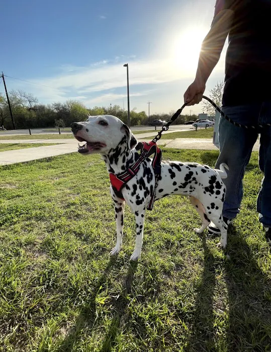 Pearsall Dog Park 7