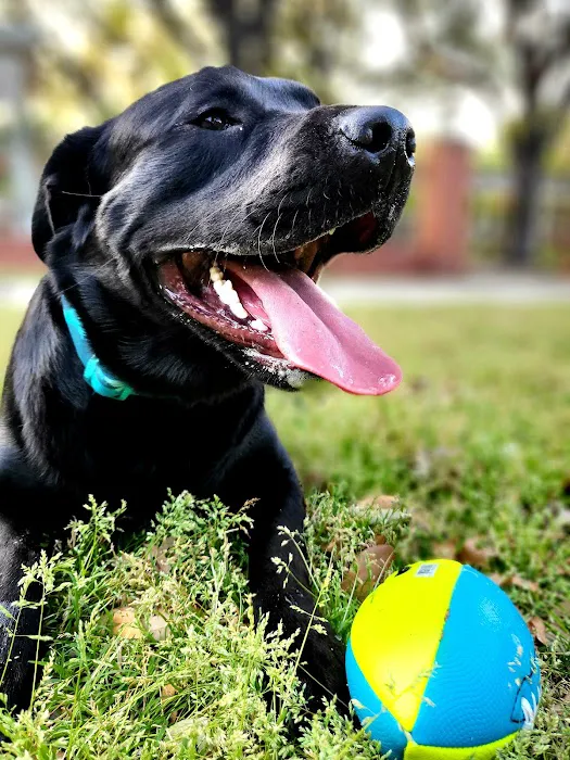 Meadows Dog Park 1