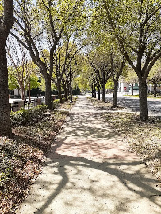 Meadows Dog Park 7